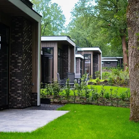 Modern Near Veluwe *