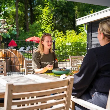 Stylish In The Woods Feriehus *