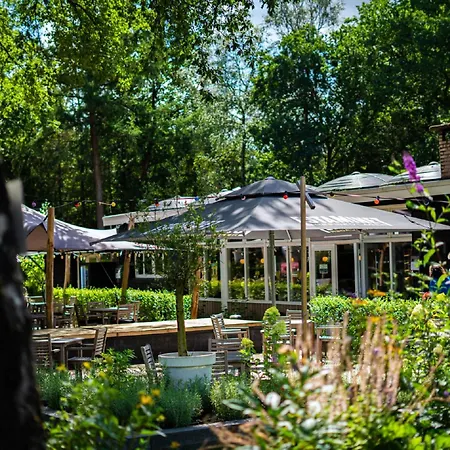 Modern Near Veluwe