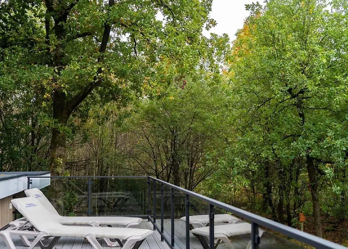 Stylish In The Woods * Hoenderloo