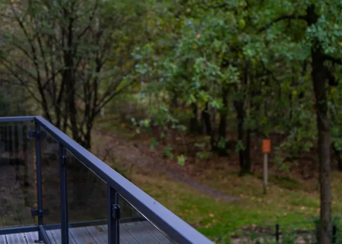 Dom wakacyjny Stylish In The Woods