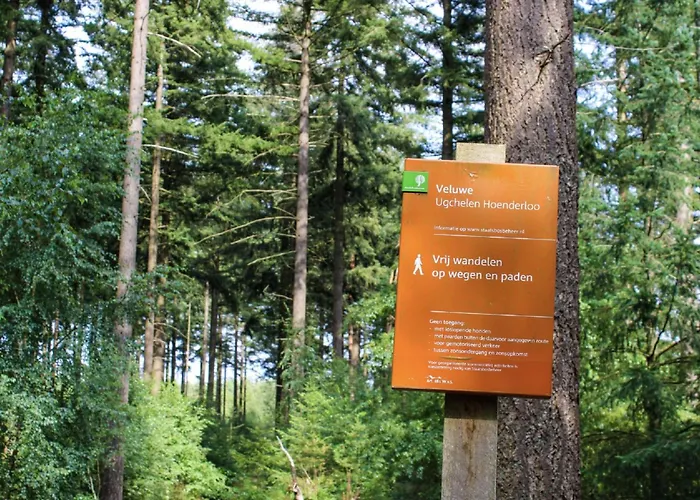 Stylish In The Woods