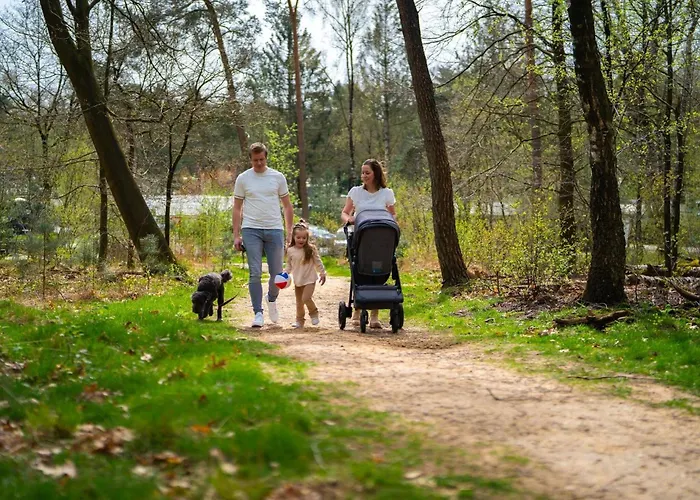 Stylish In The Woods *