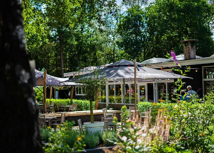 Stylish In The Woods