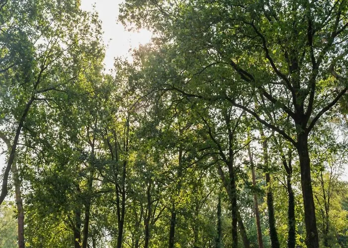 Stylish In The Woods Hoenderloo